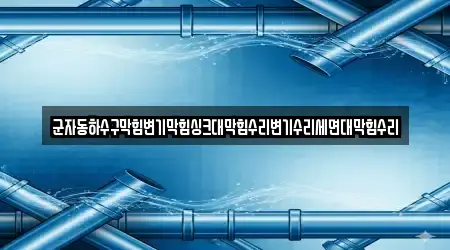 군자동하수구막힘변기막힘싱크대막힘수리변기수리세면대막힘수리