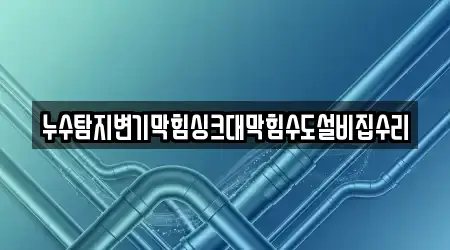 누수탐지변기막힘싱크대막힘수도설비집수리
