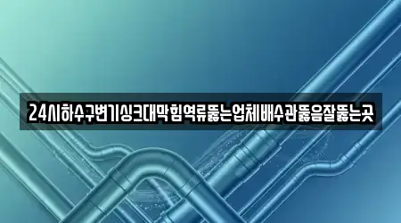 24시하수구변기싱크대막힘역류뚫는업체배수관뚫음잘뚫는곳