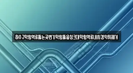 하수구막힘역류뚫는곳변기막힘뚫음싱크대막힘역류내시경악취제거