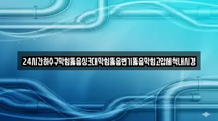 24시간하수구막힘뚫음싱크대막힘뚫음변기뚫음막힘고압세척내시경