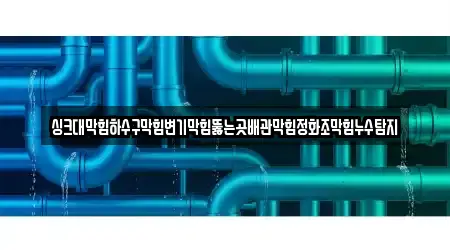 싱크대막힘하수구막힘변기막힘뚫는곳배관막힘정화조막힘누수탐지