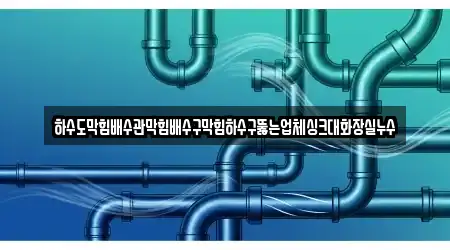 하수도막힘배수관막힘배수구막힘하수구뚫는업체싱크대화장실누수
