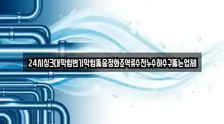 24시싱크대막힘변기막힘뚫음정화조역류수전누수하수구뚫는업체