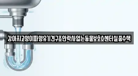 강아지고양이파양유기견구조안락사없는동물보호소센터실종수색
