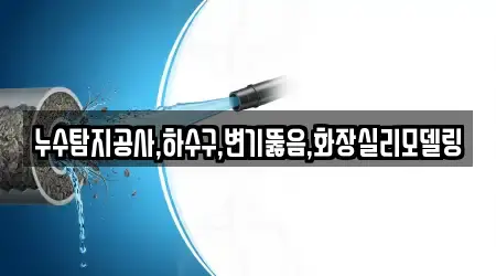 누수탐지공사,하수구,변기뚫음,화장실리모델링