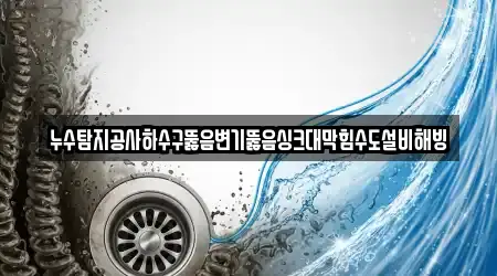 누수탐지공사하수구뚫음변기뚫음싱크대막힘수도설비해빙