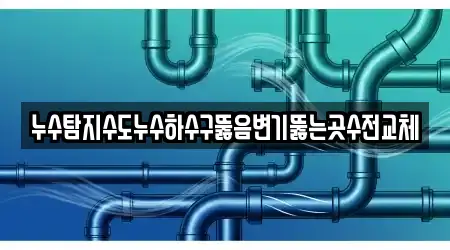 누수탐지수도누수하수구뚫음변기뚫는곳수전교체