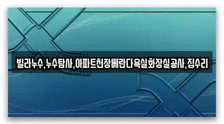 빌라누수,누수탐사,아파트천장베란다욕실화장실공사,집수리