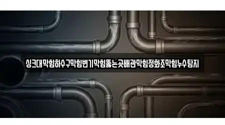싱크대막힘하수구막힘변기막힘뚫는곳배관막힘정화조막힘누수탐지