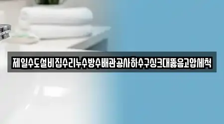 제일수도설비집수리누수방수배관공사하수구싱크대뚫음고압세척