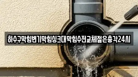 하수구막힘변기막힘싱크대막힘수전교체젊은총각24시