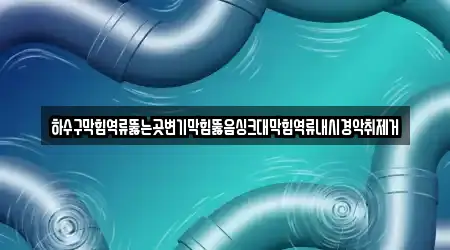 하수구막힘역류뚫는곳변기막힘뚫음싱크대막힘역류내시경악취제거
