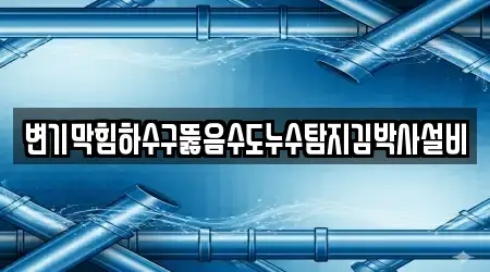 변기막힘하수구뚫음수도누수탐지김박사설비