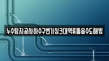누수탐지공사하수구변기싱크대역류뚫음수도해빙