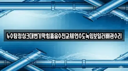 누수탐정싱크대변기막힘뚫음수전교체언수도녹임보일러배관수리