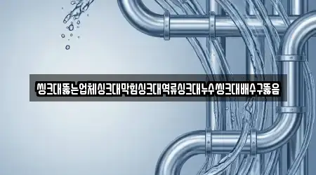 씽크대뚫는업체싱크대막힘싱크대역류싱크대누수씽크대배수구뚫음