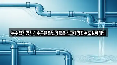 누수탐지공사하수구뚫음변기뚫음싱크대막힘수도설비해빙
