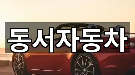 경상북도 녹전동 중고차 2곳 최근 추가