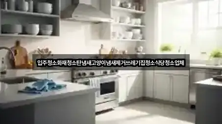 입주청소화재청소탄냄새고양이냄새제거쓰레기집청소식당청소업체