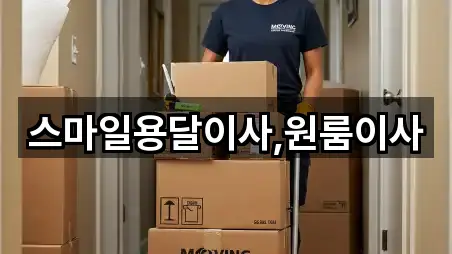 요약 브리프: 설악면 용달이사 5곳