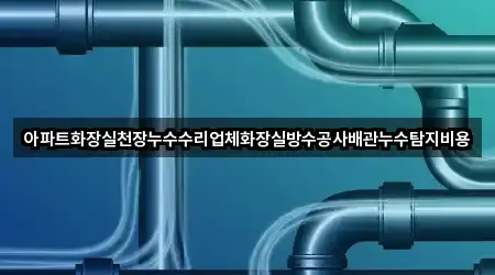 아파트화장실천장누수수리업체화장실방수공사배관누수탐지비용