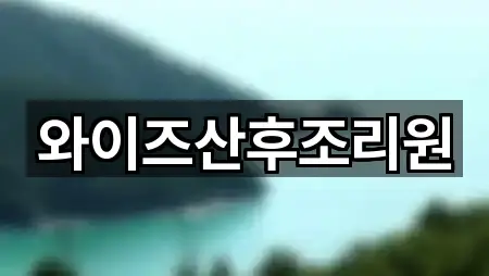 와이즈산후조리원