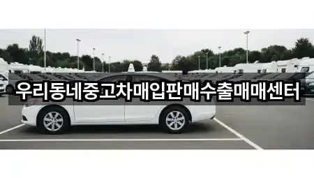 초간편 조회: 덕은동 중고차 4곳