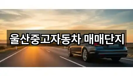 진장동 중고차 5곳 근처 한눈에