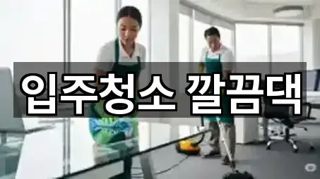 전북특별자치도 동산동 청소업체 5곳 주소 정리