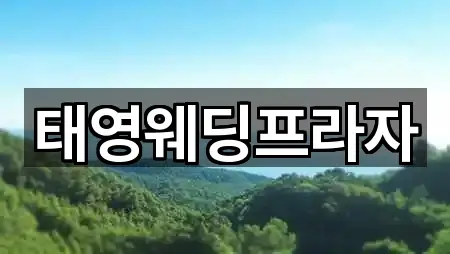 태영웨딩프라자