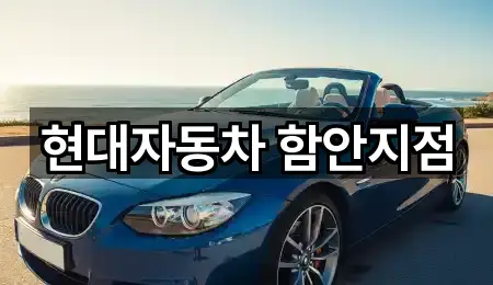 함안군 자동차전시장 5곳 원클릭 보기