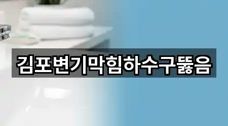 김포변기막힘하수구뚫음