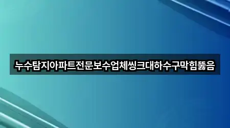 누수탐지아파트전문보수업체씽크대하수구막힘뚫음