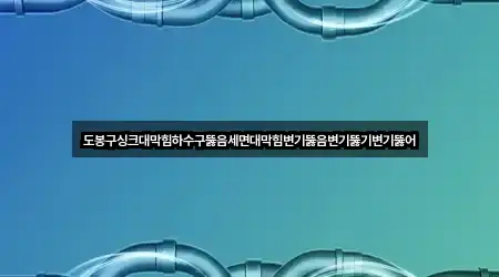 도봉구싱크대막힘하수구뚫음세면대막힘변기뚫음변기뚫기변기뚫어