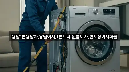 경북 고령군 운수면 원룸이사 업체 정보 2건