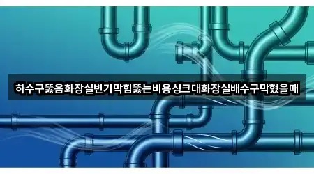 하수구뚫음화장실변기막힘뚫는비용싱크대화장실배수구막혔을때