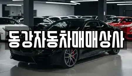 강원 영월군 남면 중고차 전문 동강자동차매매상사