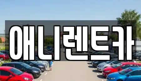 강원 원주시 호저면 렌트카 전문 애니렌트카