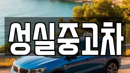 강원특별자치도 강릉시 사천면 중고차 전문 성실중고차