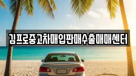 강원특별자치도 정선군 정선읍 중고차 전문 김프로중고차매입판매수출매매센터