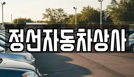 강원특별자치도 정선군 정선읍 장기렌트카,중고차,렌트카,단기렌트카,중고차매입,중고차매매