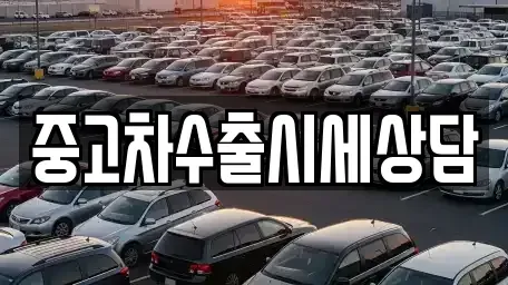 강원특별자치도 정선군 정선읍 중고차 전문 중고차수출시세상담