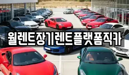 경기 가평군 장기렌트카 전문 월렌트장기렌트플랫폼직카