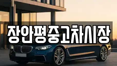 경기 가평군 중고차매매 전문 장안평중고차시장