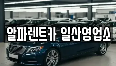 경기 고양시 덕양구 내곡동 렌트카 전문 알파렌트카 일산영업소