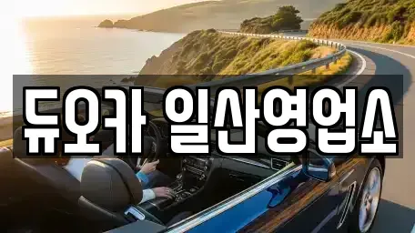 경기 고양시 덕양구 내곡동 장기렌트카 전문 듀오카 일산영업소