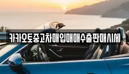 경기 고양시 덕양구 내곡동 중고차매입 전문 카카오토중고차매입매매수출판매시세