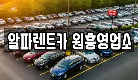 경기 고양시 덕양구 삼송동 렌트카 전문 알파렌트카 원흥영업소