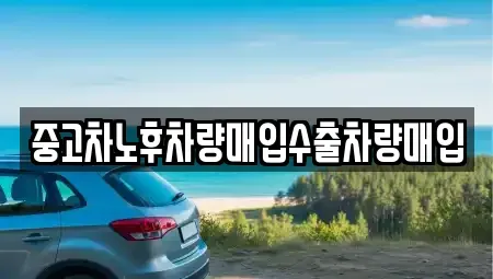 경기 고양시 덕양구 삼송동 중고차매매 전문 중고차노후차량매입수출차량매입